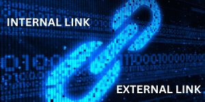 Internal link và External link