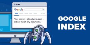 index là gì trong seo