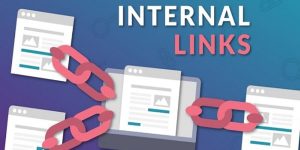 cách đi internal link