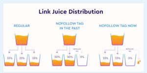link juice là gì