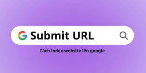 Xem thêm cách submit url lên google