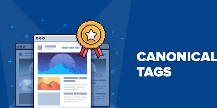 Cách Index Google Nhanh Hiệu Quả Nhất: Hướng Dẫn Chi Tiết 4 Xem thêm chi tiết Kiểm tra và xử lý Canonical Tag sai