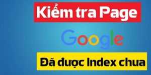 Xem thêm chi tiết cách kiểm tra website đã được google index chưa