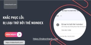 Xem thêm chi tiết Lỗi bị loại trừ bởi thẻ noindex