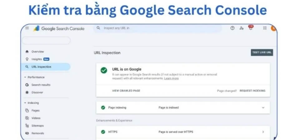 Xem thêm chi tiết Cách kiểm tra crawl budget bằng Google Search Console