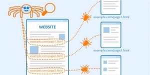 Xem thêm chi tiết Crawl là gì? Tìm hiểu cách Googlebot khám phá và thu thập dữ liệu từ các URL trên website