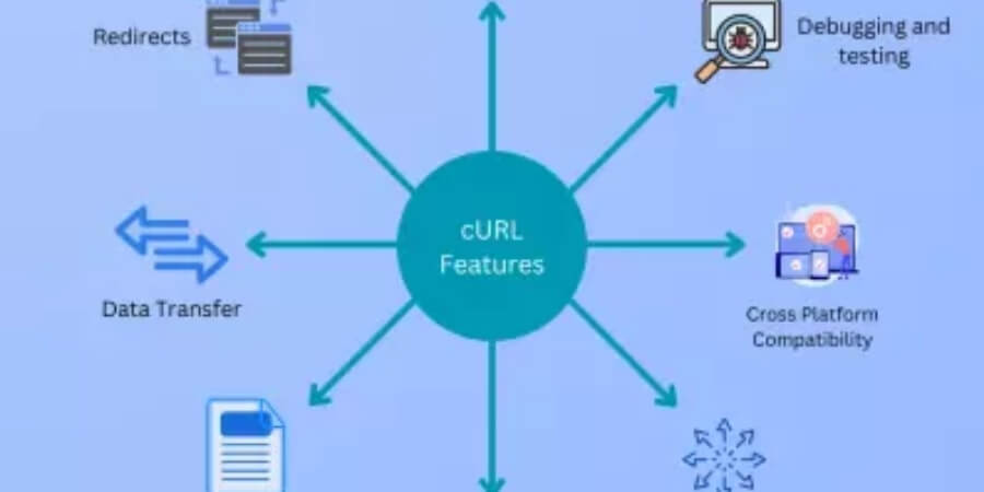 Xem thêm chi tiết Kiểm tra thủ công bằng cURL hoặc tiện ích mở rộng trình duyệt